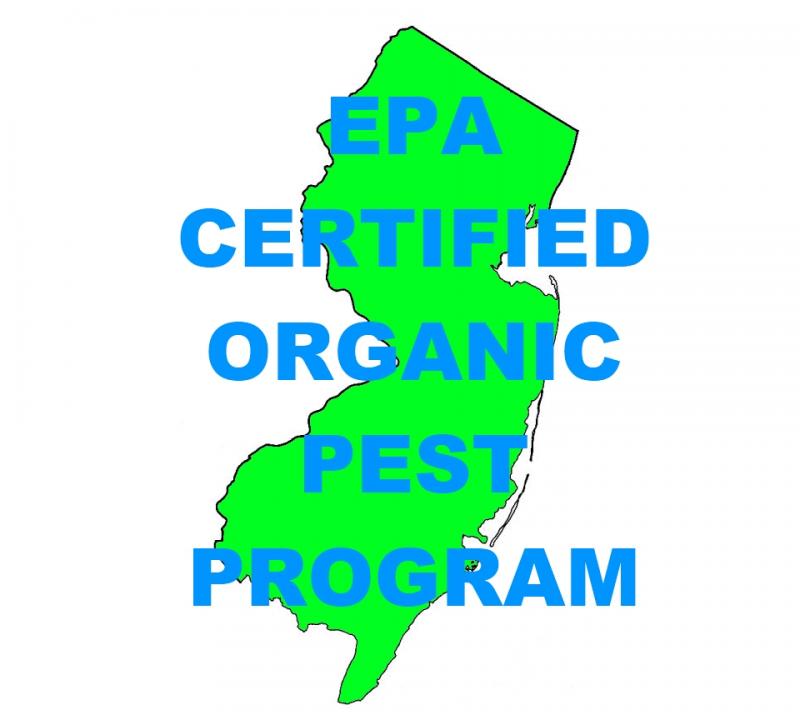 Organic Pest Control Service NJ