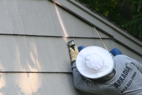 Yellow Jacket Treatment in NJ